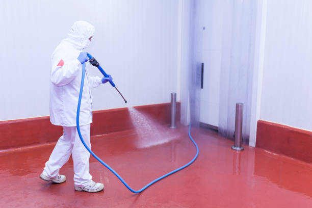 Reliable Mona, UT Pressure Washing Services Solutions