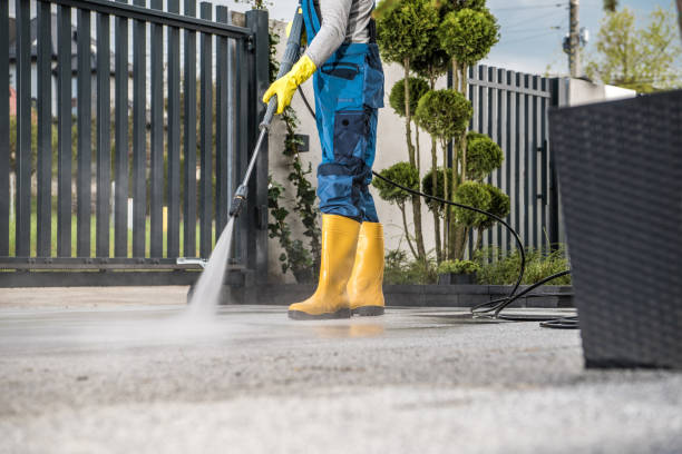 Best Gutter Cleaning  in Mona, UT